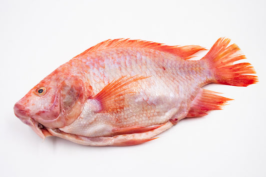 Mojarra Grande