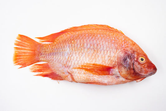 Mojarra Pequeña